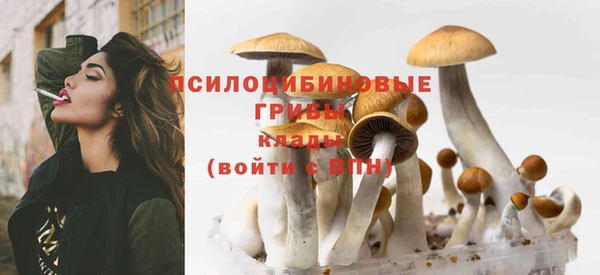 дмт Армянск