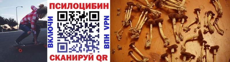 Купить закладки  Боровск  Псилоцибиновые грибы прущие грибы 